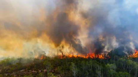Feux de forêt : Sébastien Lecornu lance une mission parlementaire avant la présentation du projet de loi sécurité civile