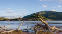 Les drones au service de la surveillance des espaces naturels