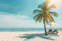 ANews Sécurité part en vacances !