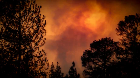 « Il n’y pas de fumées sans feu » : Comment Axis communications aide à anticiper les incendies estivaux ?