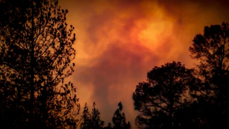 Feux de forêt : la mission parlementaire rendra ses conclusions le 21 septembre, sous double pression